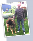 toilettage Petit Quevilly chien Leonberg