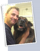 toilettage chien berger allemand
